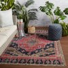 Cicero Indoor/Outdoor Medallion Rug in Pink & Blue