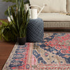 Cicero Indoor/Outdoor Medallion Rug in Pink & Blue