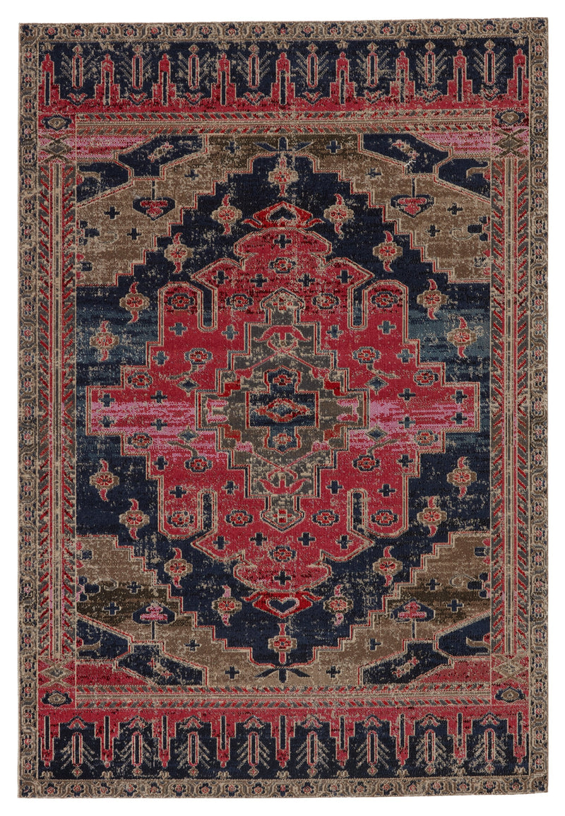 Cicero Indoor/Outdoor Medallion Rug in Pink & Blue