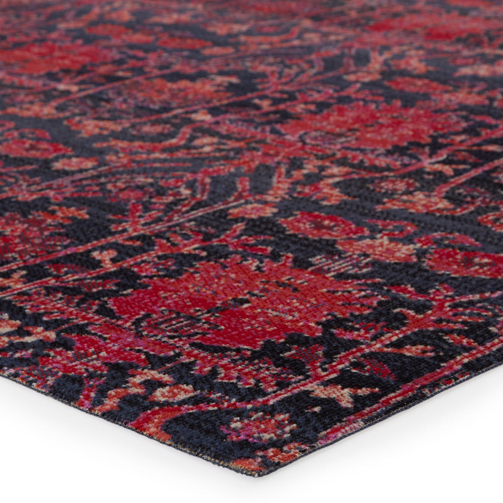 Genesee Indoor/Outdoor Trellis Red & Blue Rug