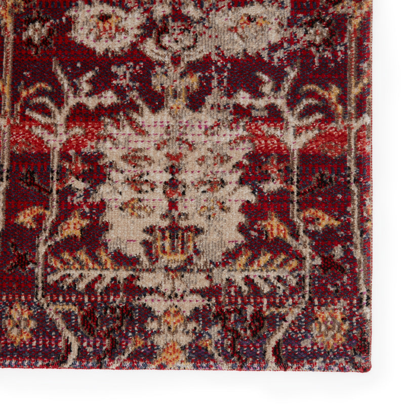 Genesee Indoor/Outdoor Trellis Red & Beige Rug