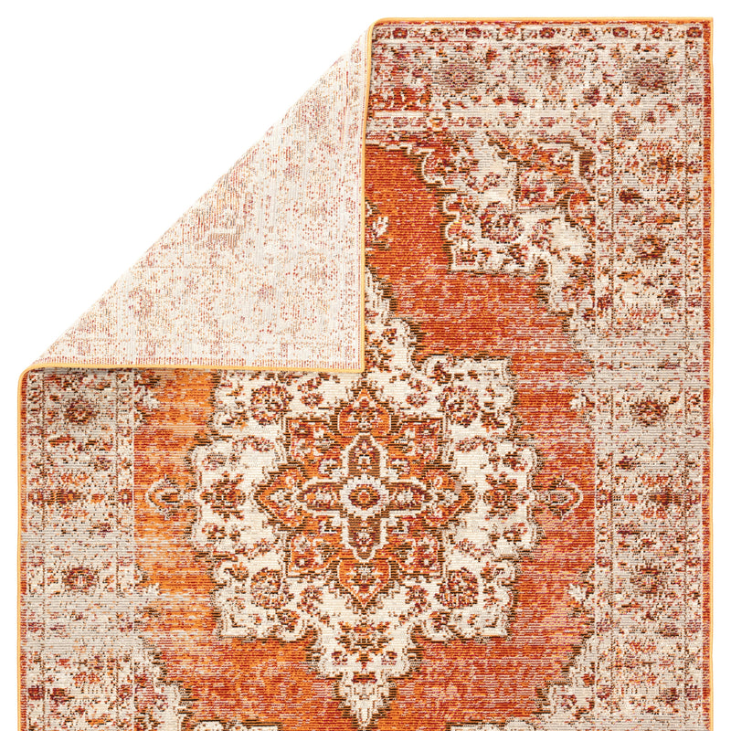 Sontag Medallion Orange & Brown Area Rug