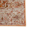 Sontag Medallion Orange & Brown Area Rug