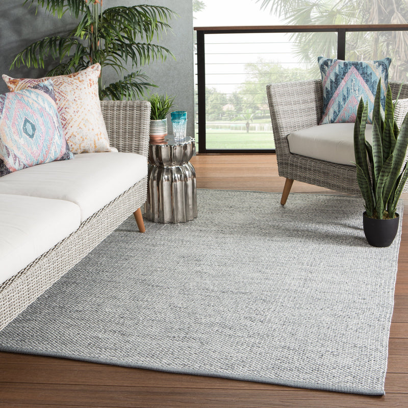 Lamanda Indoor/Outdoor Solid Gray & Ivory Rug