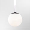 Paige 1 Light Large Pendant