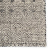 Reign Abelle Rug in Gray by Jaipur Living