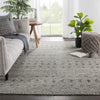 Reign Abelle Rug in Gray by Jaipur Living