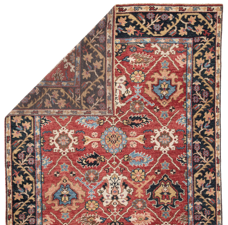 Aika Hand-Knotted Medallion Red & Multicolor Area Rug