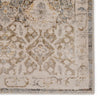 Hakeem Oriental Gray & Gold Rug by Jaipur Living