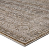 Ilias Oriental Gray & Tan Rug by Jaipur Living