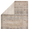 Ilias Oriental Gray & Tan Rug by Jaipur Living