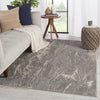 Druzy Abstract Gray & Cream Area Rug