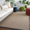 Savvy Handmade Indoor/Outdoor Solid Tan & Black Area Rug