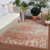 Swoon Priyah Indoor/Outdoor Pink & Gray Rug 6