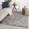 Izar Oriental Rug in Gray & Beige