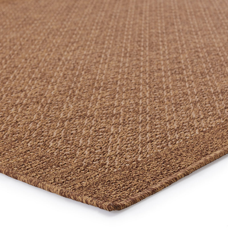 Maeva Indoor/Outdoor Border Light Brown Rug