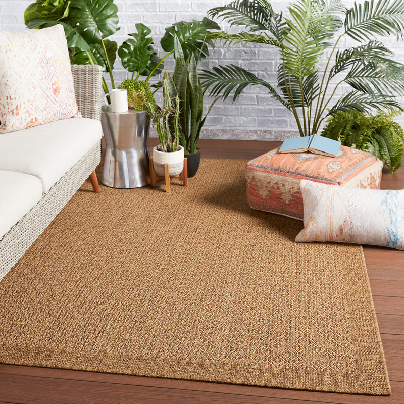 Maeva Indoor/Outdoor Border Light Brown Rug