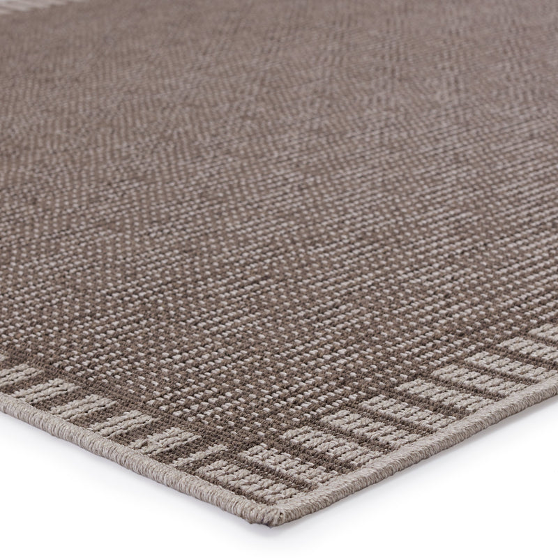 Iti Indoor/Outdoor Border Taupe & Grey Rug