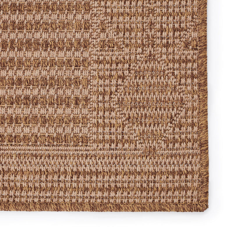 Vahine Indoor/Outdoor Border Light Brown & Beige Rug