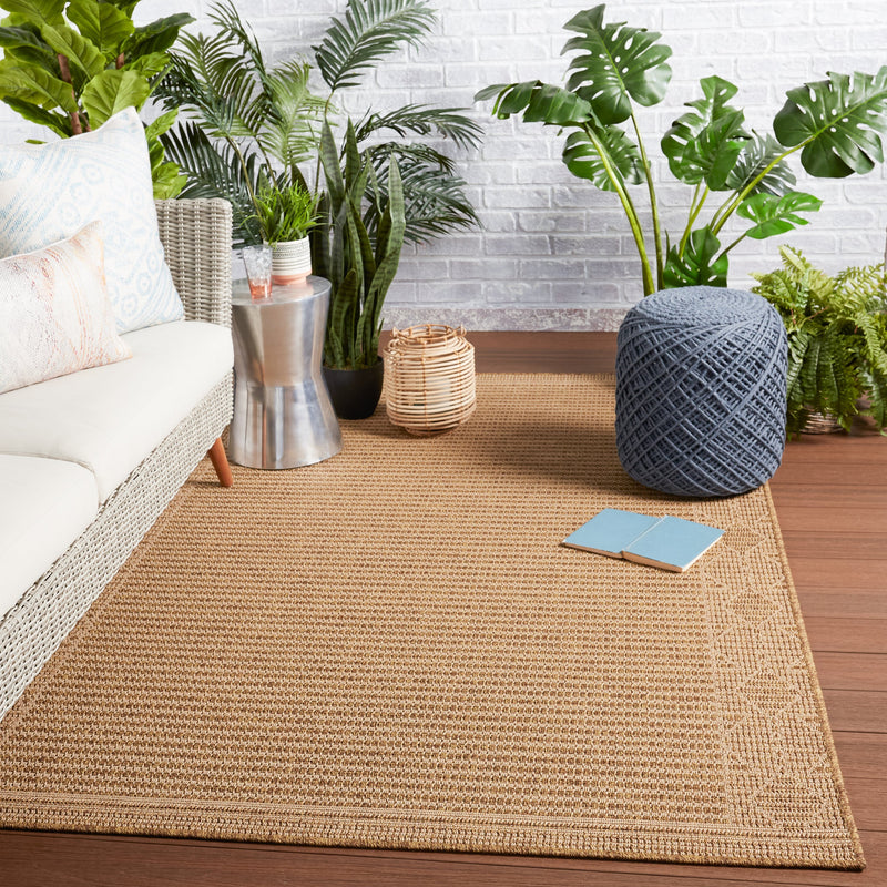 Vahine Indoor/Outdoor Border Light Brown & Beige Rug