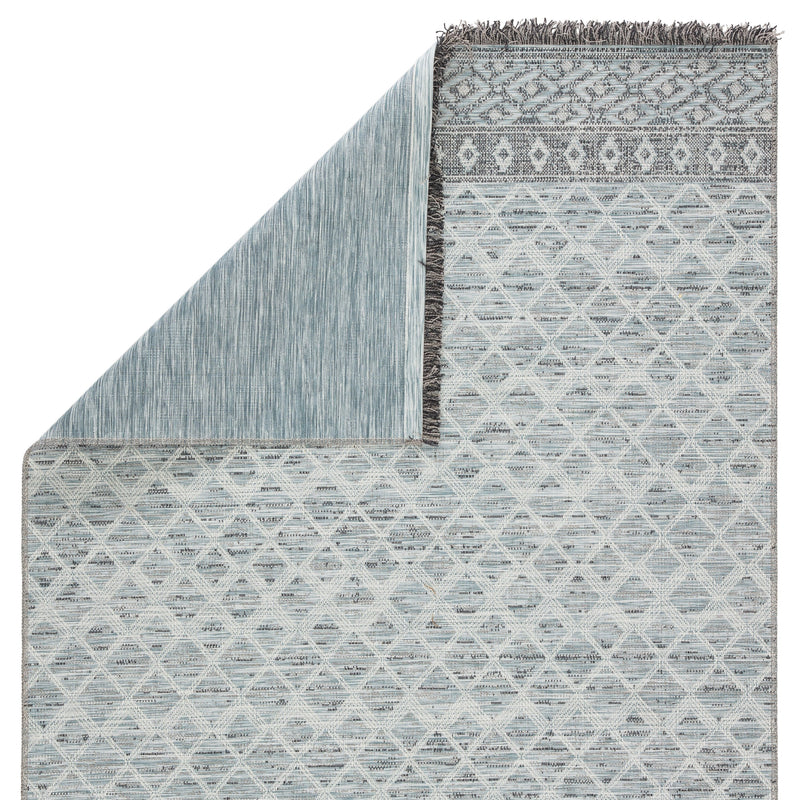 Ravi Indoor/Outdoor Border Gray & Light Blue Rug