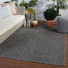 Tajiri Ekon Indoor/Outdoor Dark Gray Rug by Nikki Chu 6