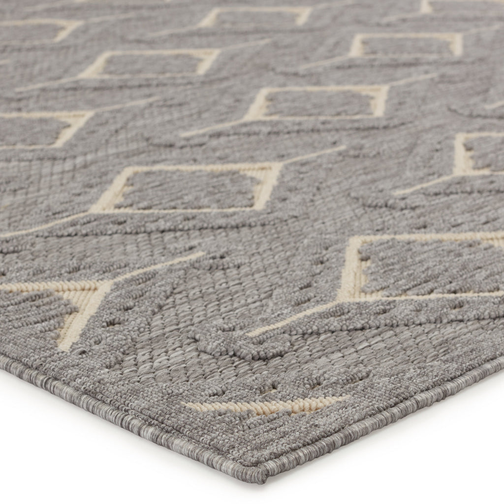 Tajiri Chidi Indoor/Outdoor Gray & Cream Rug by Nikki Chu 2