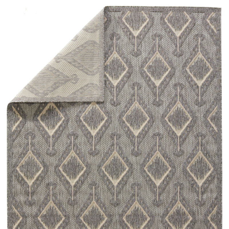 Tajiri Chidi Indoor/Outdoor Gray & Cream Rug by Nikki Chu 3