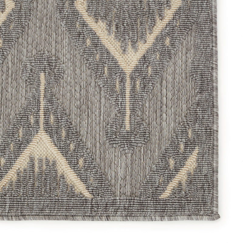 Tajiri Chidi Indoor/Outdoor Gray & Cream Rug by Nikki Chu 4