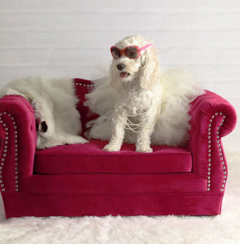 Yorkshire Pet Bed in Various Colors