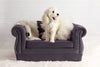 Yorkshire Pet Bed in Various Colors