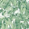 Tropical Removable Wallpaper in Jungle Green