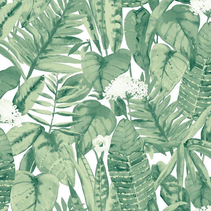 Tropical Removable Wallpaper in Jungle Green