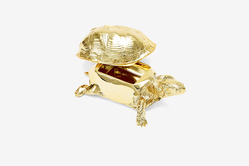 Reality Box Turtle Box in Gold