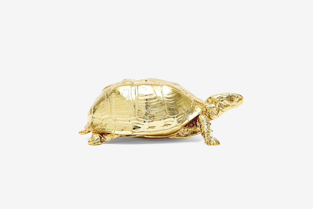 Reality Box Turtle Box in Gold