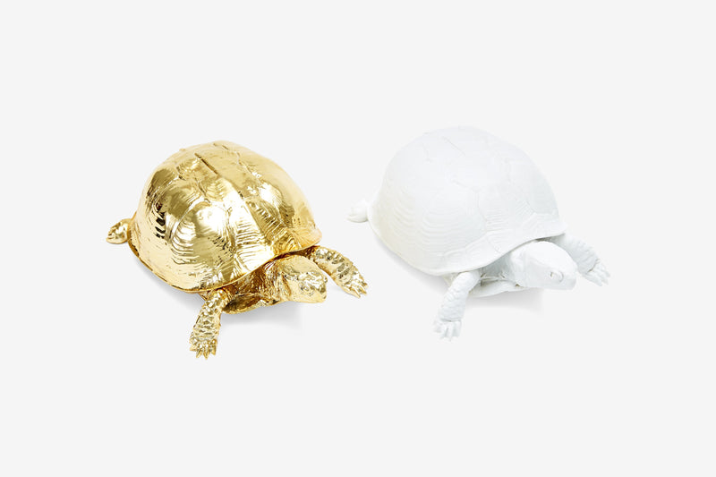 Reality Box Turtle Box in Gold