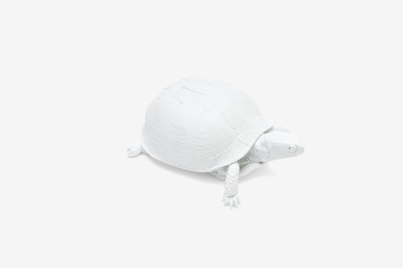 Reality Box Turtle Box in White