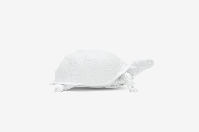 Reality Box Turtle Box in White