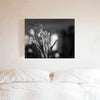 Tulips Photo Print