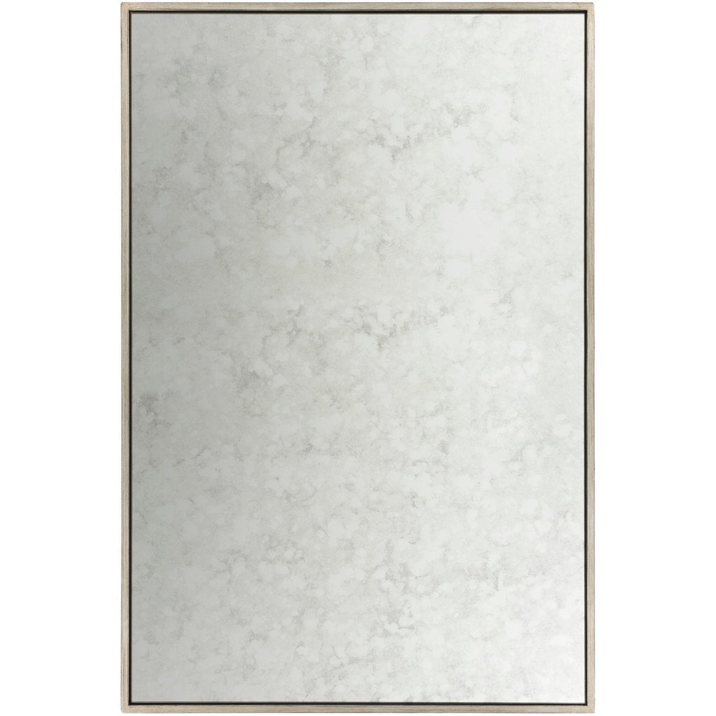 Verbena VBA-001 Rectangular Mirror in Silver by Surya