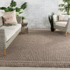 Soleil Indoor/Outdoor Solid Dark Taupe Rug