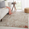 Marzena Abstract Tan & Rust Rug by Jaipur Living