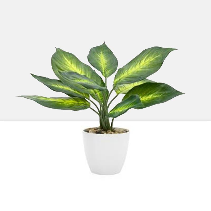 Villa Faux Potted 11" Plant - Dieffenbachia