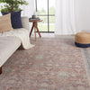 Brinson Oriental Rug in Red & Gray