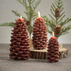 Pine Cone Brown 2 Piece Candle Set