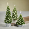 Tree Candles on Wax Birch Base - Set of 6