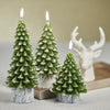 Tree Candles on Wax Birch Base - Set of 6