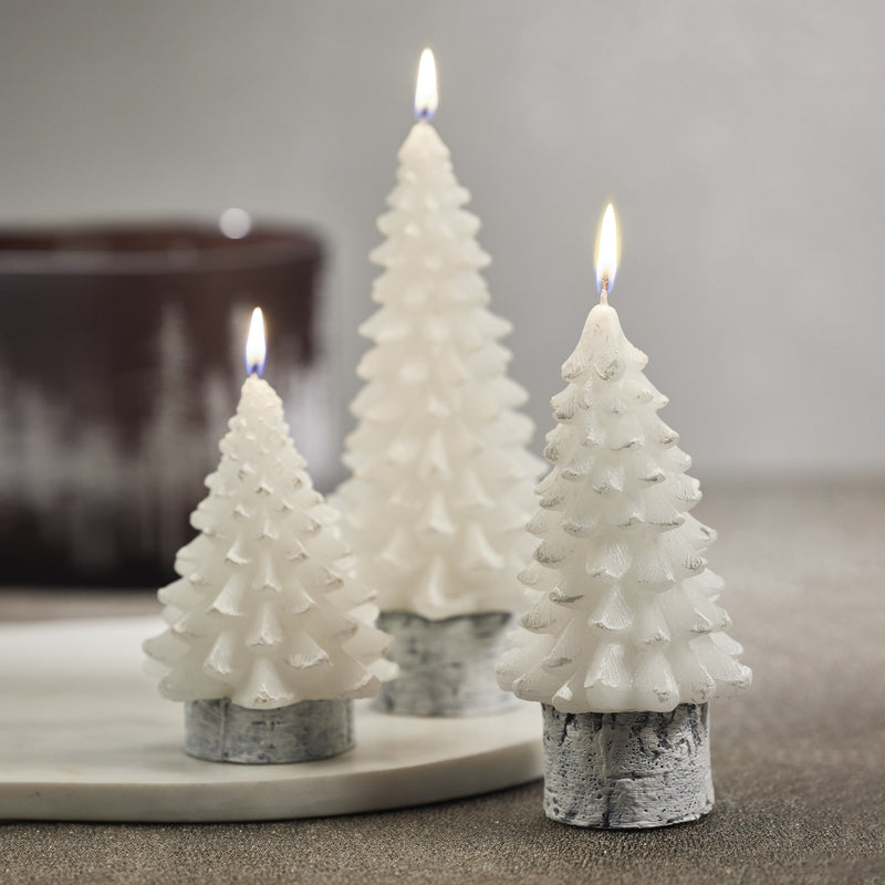 Tree Candles on Wax Birch Base - Set of 6