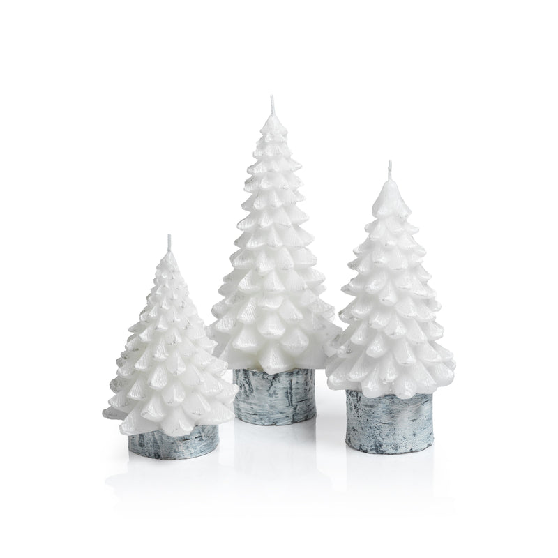 Tree Candles on Wax Birch Base - Set of 6