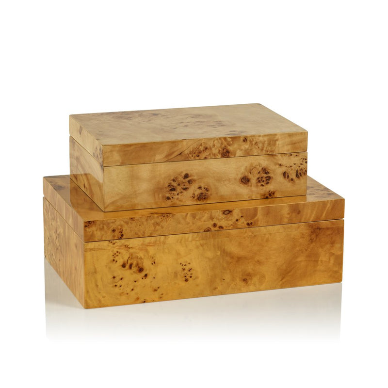 Leiden Burl Wood Design Box - Large